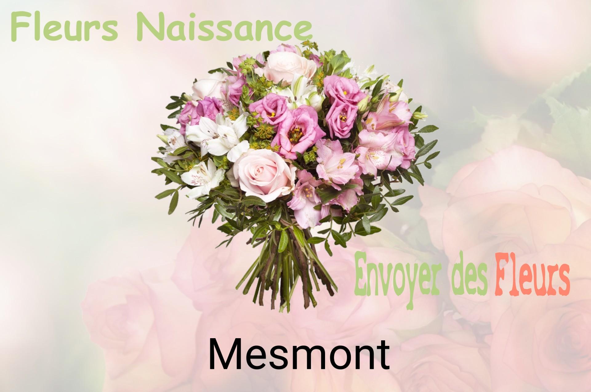 Bouquet de fleurs de naissance livré à Mesmont